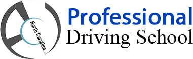 Professional Driving School Logo
